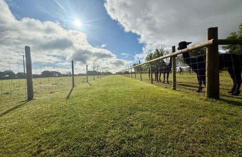 The Cow Shed - Foto 12