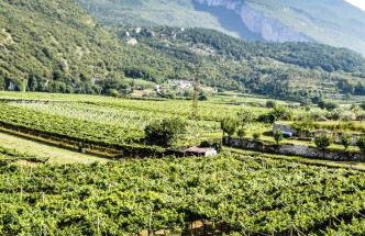 La Volta del Garda - Photo 29