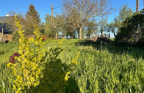 Wiejska chatka - Foto 4