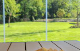 La Torre sulla via Francigena - Foto 18