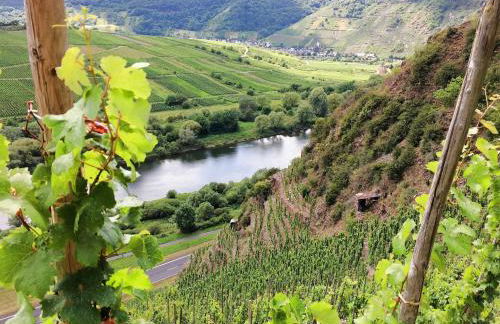 Ferienwohnungen Merl - Foto 70