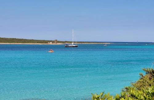 Villa La Pelosa Stintino - Foto 55