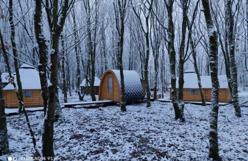 Le Domaine Insolite de Brocéliande - Foto 27