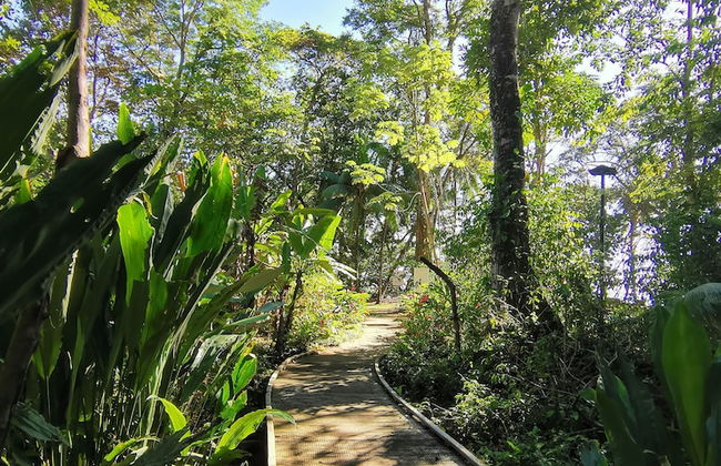 Elan at Ballena Beach - Foto 55