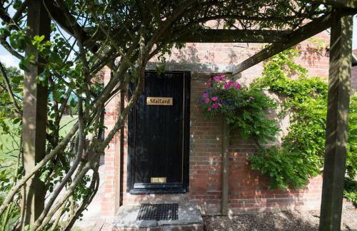 Countryside cottage with pool - Foto 16