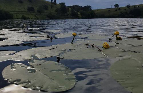 Ferienwohnung NatureOne - Foto 14