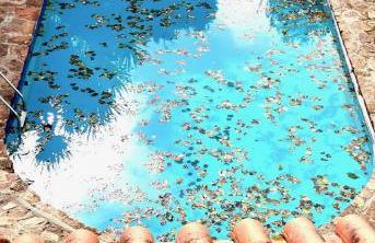 Casa do Faial - Braga - Foto 35