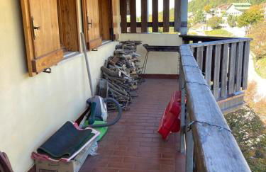 Edelweiss Apt29 - Foto 11