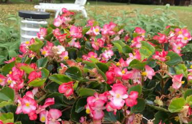 Casa Gina & Jeto - Foto 37