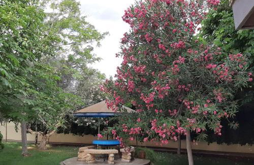 VILLA AFRICA - Foto 30