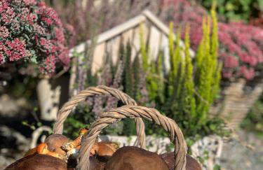 Agro na Wapniarni - Foto 50