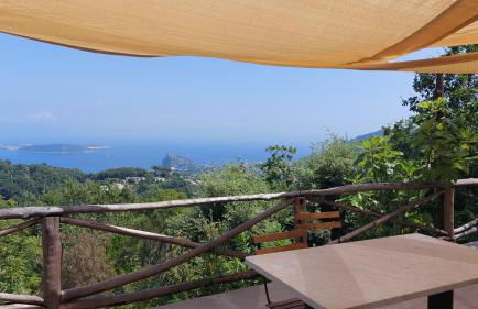 La Casetta nel Bosco - Foto 27