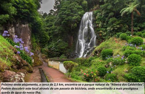 Cantinho da Ilha - Guest House - Photo 138