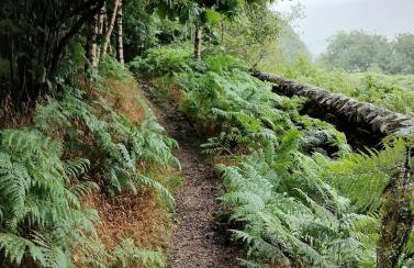 The Peak Retreat - Foto 32