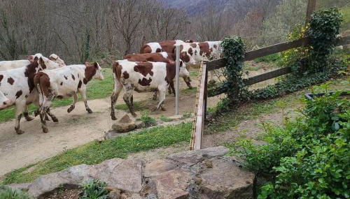 La Grange d'Ardichen vue sur les montagnes - Foto 5