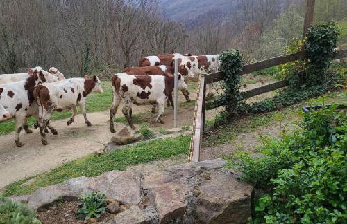 La Grange d'Ardichen vue sur les montagnes - Foto 5