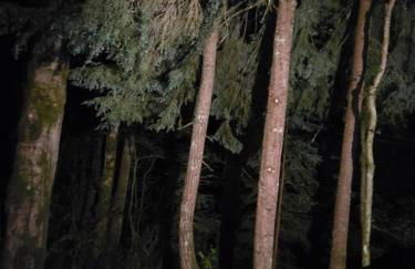 Dovetail Den - Tranquil with Hot Tub and Air Conditioning - Foto 31