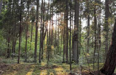 Corner House Plesna - Foto 44