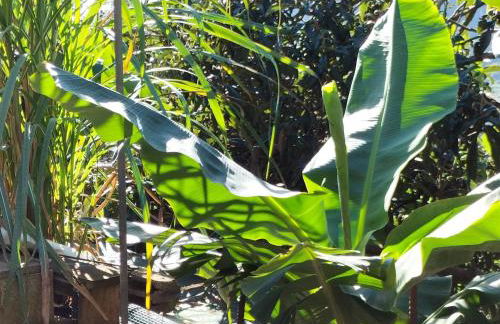 Sea Mountain House - Foto 48