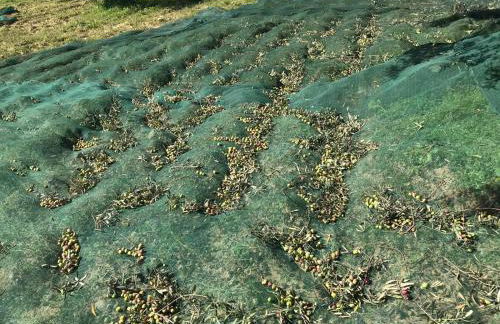 Agriturismo Vecchia Masseria Charme&Relax - Foto 112