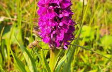 Elm Grove - Photo 22