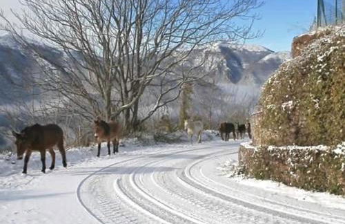 Le Case dell'Arco – Monte San Vito - Photo 46