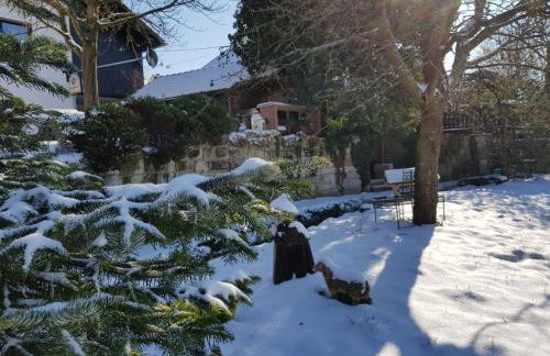 Ferienwohnungen Knodel - Foto 18