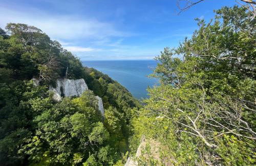 Ferienhaus Jastoria - Foto 42