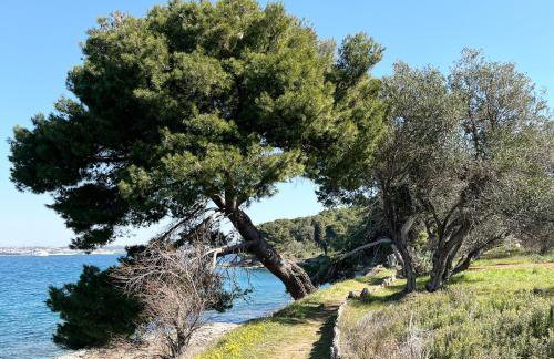 Island House Osljak - Foto 43