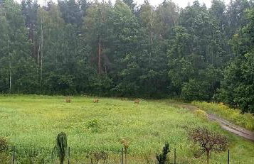 Noclegi Tomaszkowo - Photo 43