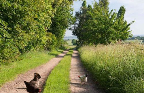 The Wobbin, Remote, Comfort, Sea Views and the beautiful Essex Marshes - Foto 38