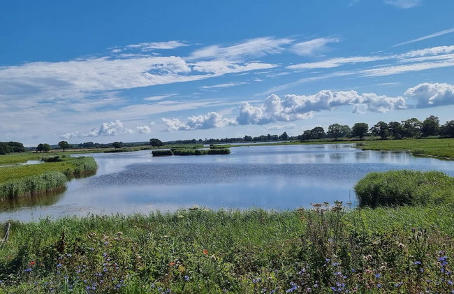 8 Person Holiday Home in Svendborg - Foto 41