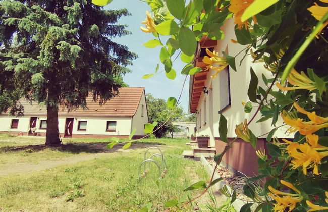 Naturhof Usedom - Photo 47