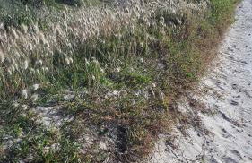 Gîte LES CHANTS DU CREPUSCULE - Foto 44