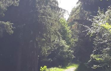 Appartement confortable face à la montagne - Foto 37