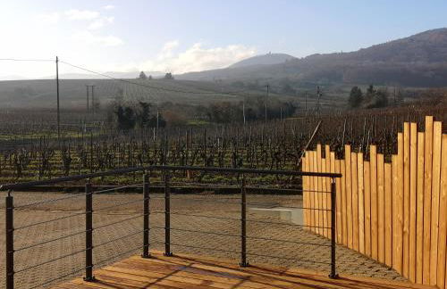 Cocon de caractère au cœur des vignes Alsaciennes - Foto 24