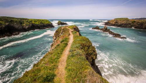 Dolphin Manor - Foto 4