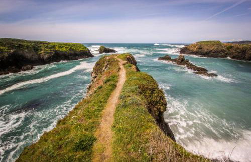 Dolphin Manor - Foto 4