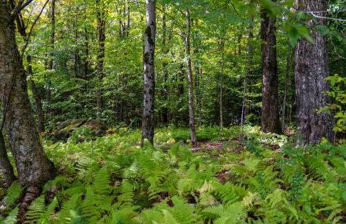 Cozy Cabin in Stratton Mountain & Mount Snow 10min - Photo 15