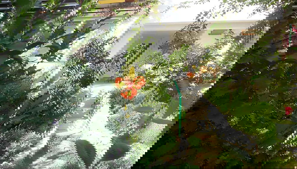 Apartman Azoa 3 - Foto 1, Imagen principal