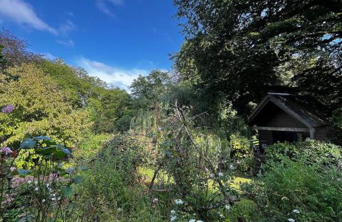 The Beech Hut, Wood Fired Hot Tub, St Kew Escapes - Foto 14