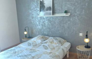 Maison à biscarrosse avec piscine et jacuzzi - Foto 12