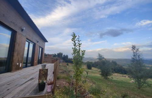 Quinta da Pedrulha - Foto 18