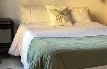 Amplio y luminoso apartamento Plz de la Merced - Photo 4