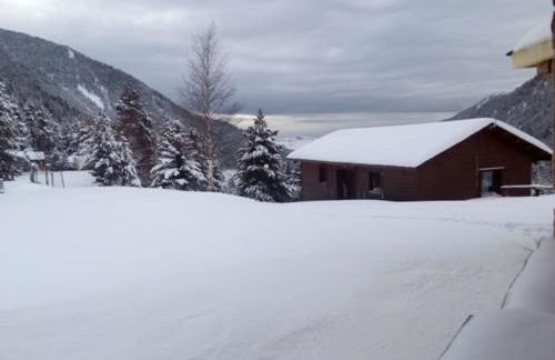 Bungalow en parc natural del Ter 2000 metres - Foto 39