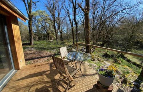 La jonquille - Foto 2