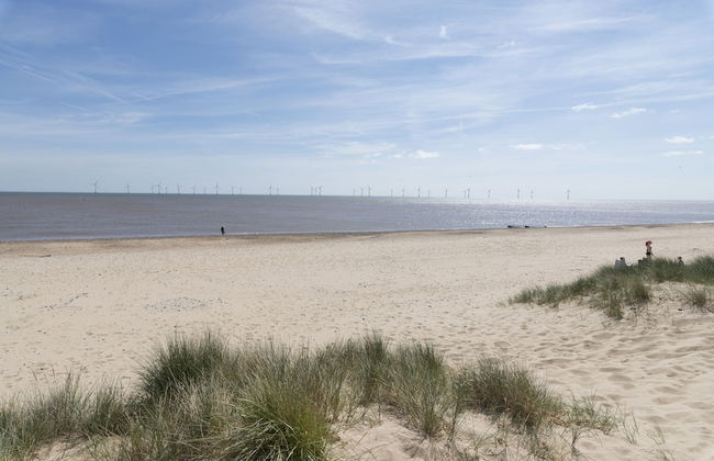 Marina Beach House - Photo 37