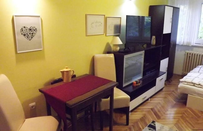 Studio Apartman Vijenac - Foto 12