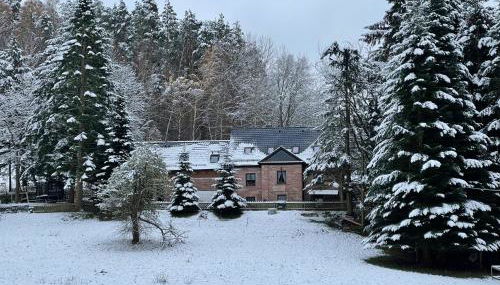 Apartment im Wald - mit Schwimmbad! - Foto 2