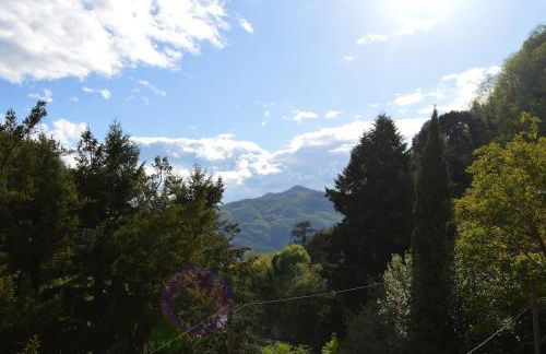 Bellavista apartment - Foto 18